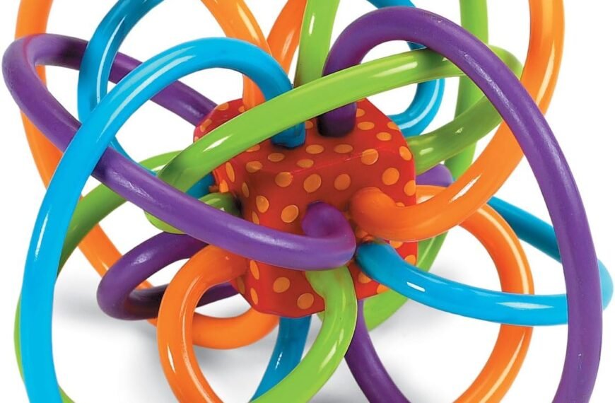 Manhattan Toy Winkel Rattle & Sensory Teether Toy Review