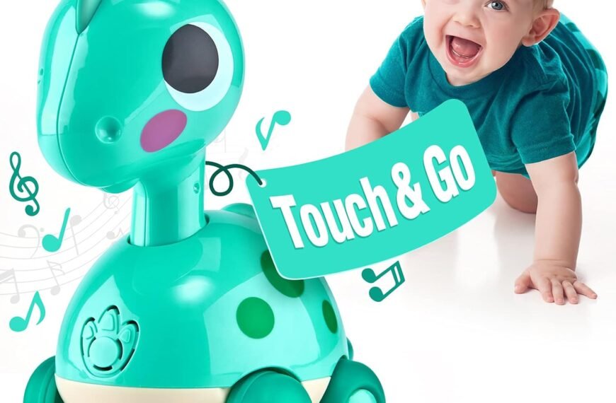 Baby Toys 6-12 Months Review