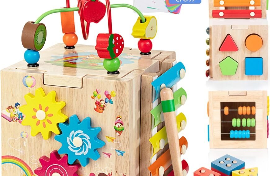 Bravmate Wooden Activity Cube Review