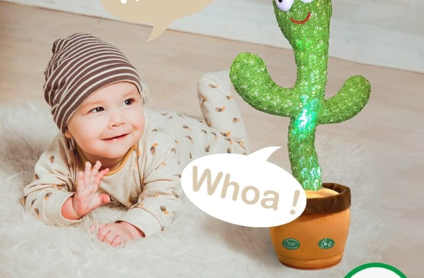 Pbooo Dancing Cactus Toy Review