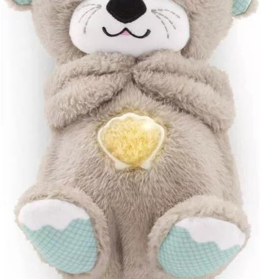 Fisher-Price Soothe ‘n Snuggle Otter Review